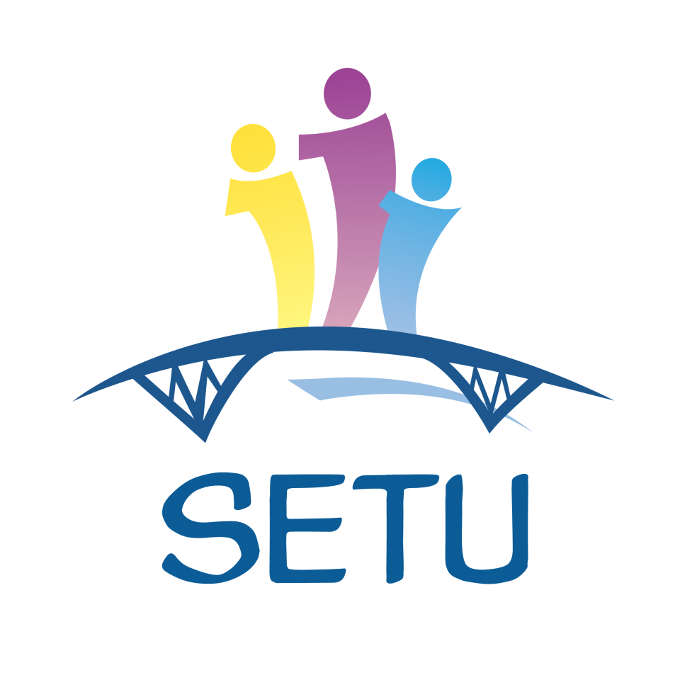 Setu Final Transparent Background Logo Consulting Products Platforms